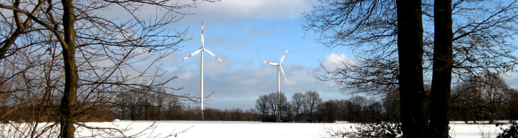 Windenergie auch im Winter Windenergie auch im Winter