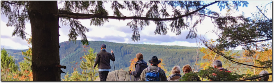 Wandergruppe im Harz